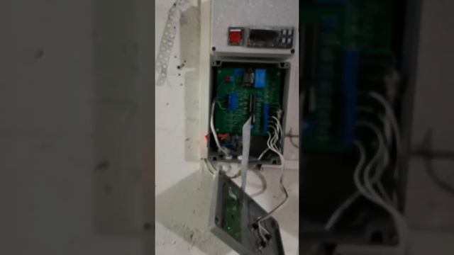 Обзор камеры выращивания шампиньонов. Загрузка камеры выращивания. смотреть онлайн