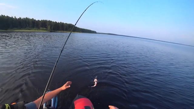 Рыбалка на Рыбинском водохранилище. Судак. Щука. Окунь. смотреть онлайн