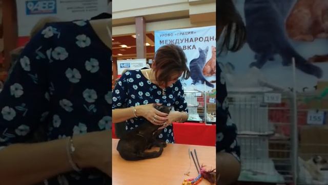 Ульяна. WCF ринг. Бест оф бест 5! смотреть онлайн