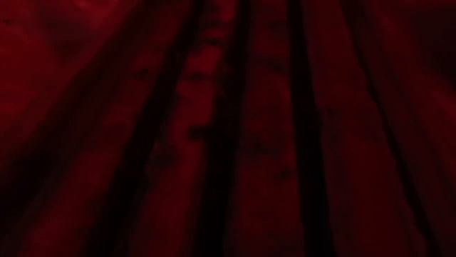 Зимовка 2018-2019 г.г. экспериментальных нуклеусов на рамку РД 108. смотреть онлайн