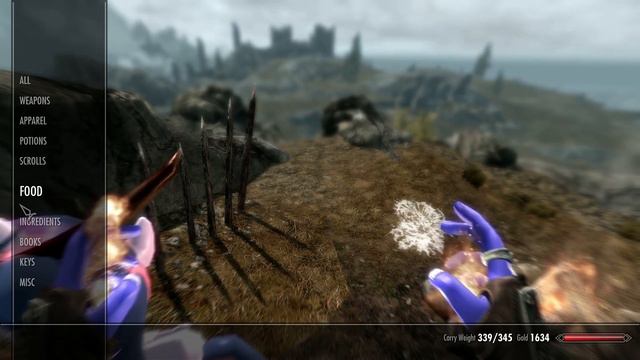 The Elder Scrolls: Skyrim PONIFIED 16 - ARCHMAGE GOES RAMPANT!