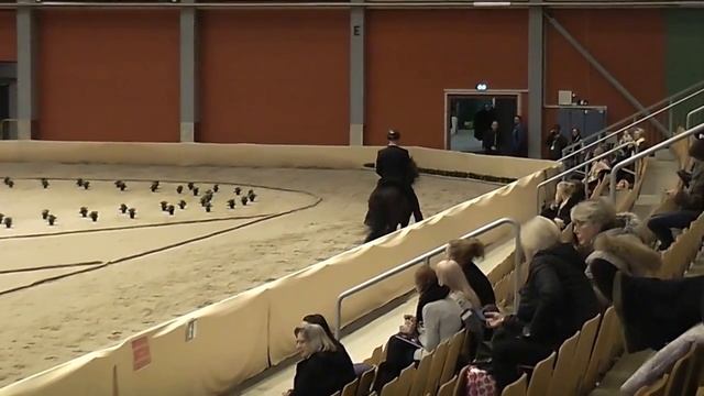 Sambo fra Skarði, OD18T2 смотреть онлайн