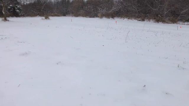Канада. Жизнь в загородном доме 63. 12 ноября 2020 года. смотреть онлайн
