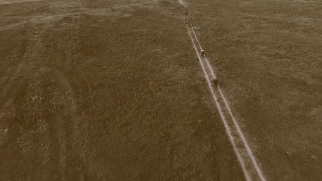 Анастасия Сорокова_Девичья доля смотреть онлайн