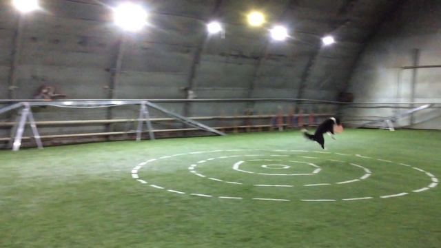 Дартби - Кулешова смотреть онлайн