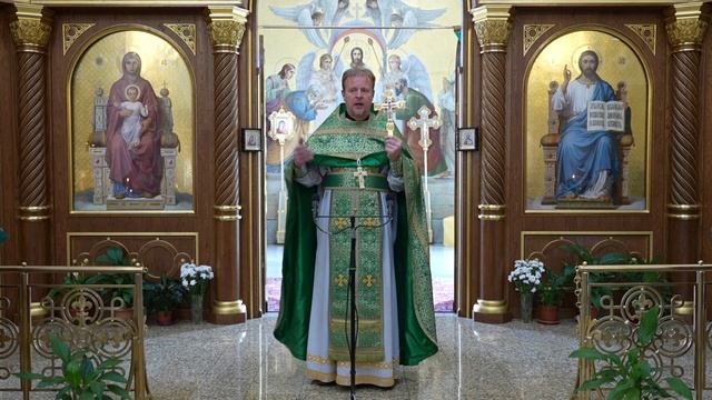 ...Любите врагов ваших... Проповедь священника Димитрия Лушникова. смотреть онлайн