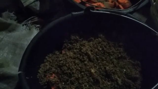 ПЕРВАЯ ИНКУБАЦИЯ ЯИЦ.КАКОЙ ИНКУБАТОР КУПИТЬ? ЛУЧШИЙ ИНКУБАТОР ИНДЮКИ МУСКУСНЫЕ УТКИ ДОЙКА КОРОВЫ. смотреть онлайн