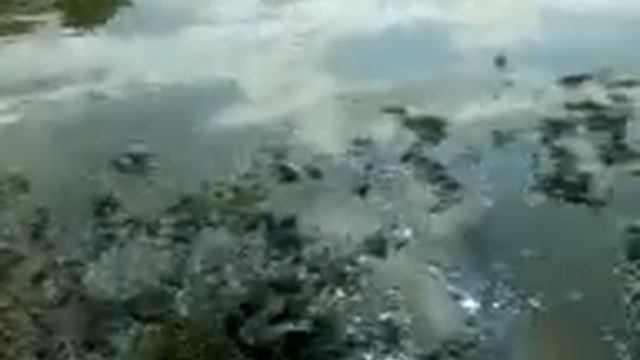 Рыбалка. Астрахань. Лечебные грязи смотреть онлайн