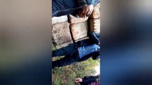 Влог#,. ищу медь.