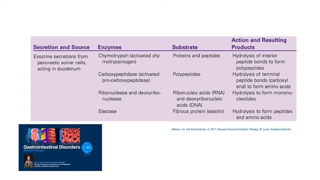 Review of GIT Functions #nutrition #probiotics #prebiotics смотреть онлайн