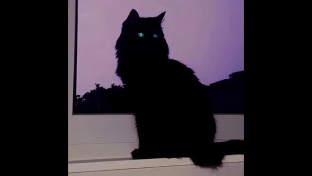 LAnaYA - Она пишет мне Wassup