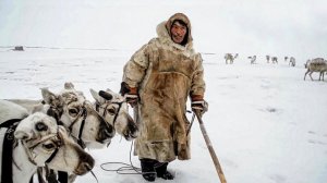 Тундра: Жизнь Ненцев, Шаманы, Священные места, Сопки Сихиртя (Исчезнувший Народ) и Мамонты