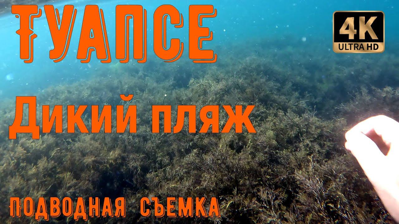 Туапсе. Дикий пляж. Подводная съемка смотреть онлайн