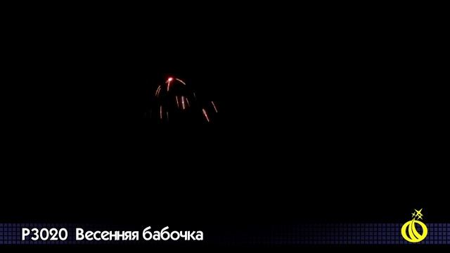 P3020 Весенняя бабочка смотреть онлайн