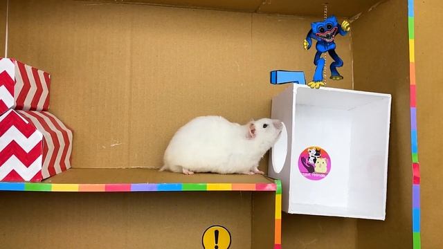 Hamster Ball Pool Maze - little Pet vs Poppy Playtime смотреть онлайн