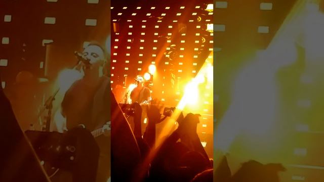 Звери. Москва, 24.03.2016, YOTASPACE. Ты так прекрасна смотреть онлайн