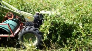 Мульчер для картофельной ботвы и буръянов, пробный выезд.