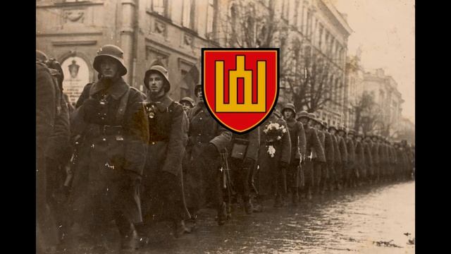 Žygis į Vilnių / March To Vilnius