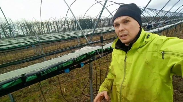 Работа В Англии на Ферме. Виды работ в зимний период. смотреть онлайн