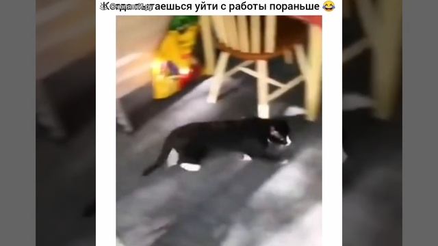 Когда пытаешься уйти с работы пораньше смотреть онлайн