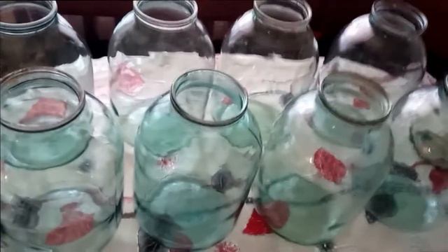 Огурцы под капроновой крышкой горячим способом смотреть онлайн