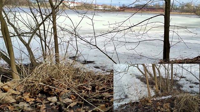 Белка на Чухонке с музыкой. смотреть онлайн