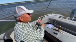 Ловля судака на Волге Летом 2020