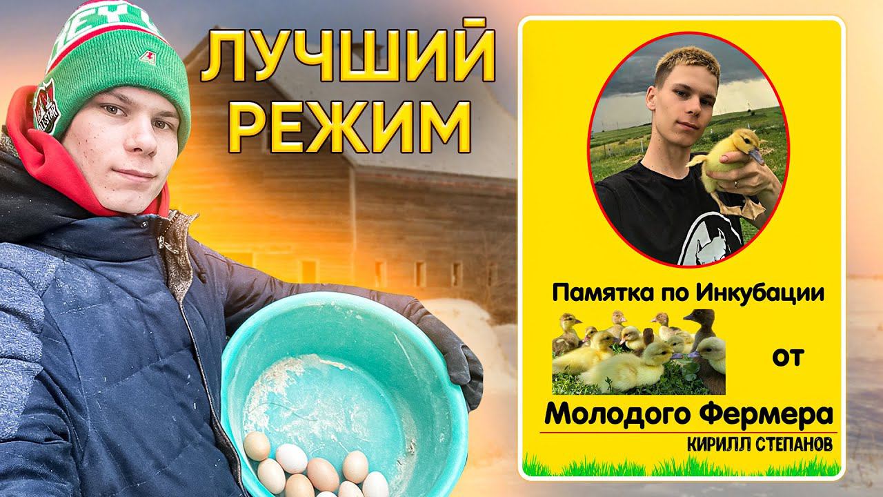 Наше любимое хозяйство | С успешной Инкубацией !  Перепела, Утки, Гуси, Кролики, Цыплята