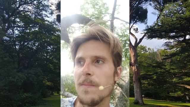 Яма Нияма. Сатья - правдивость. Куяшов А. смотреть онлайн