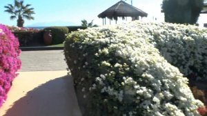 Sierra Resort 5* (Египет/Шарм-Эль-Шейх)