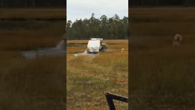 В болото за клюквой на вездеходе смотреть онлайн