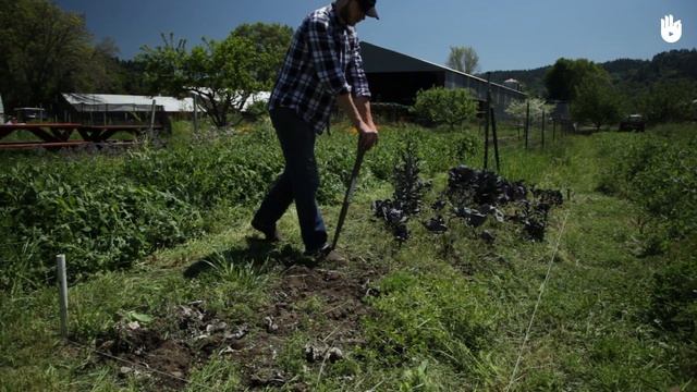 Научитесь создавать доску культуры 2-2 смотреть онлайн