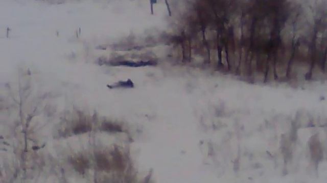 Самые смешные видео