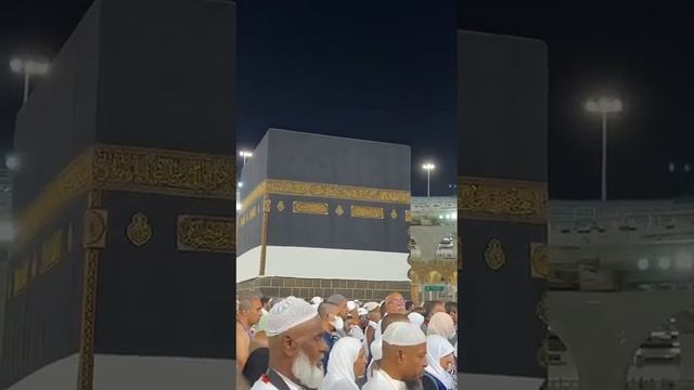 каждый мусульманин мечтает один раз попасть В мекку смотреть онлайн
