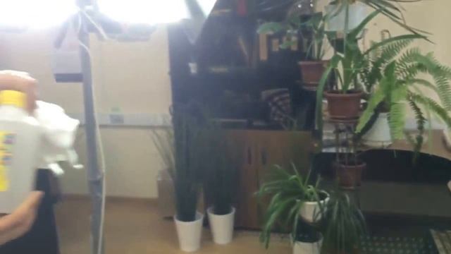 Экошпон Двух разных производителей. Двери ZADOOR vs Похожие смотреть онлайн