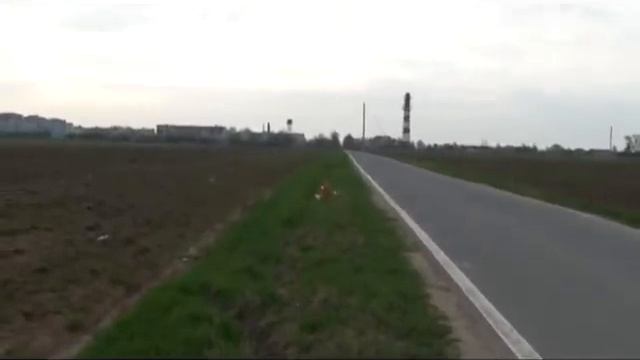 Орлята учатся летать)) смотреть онлайн