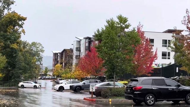 Что такое Осень - это небо . Плачущее небо под ногами . В лужах разлетаются, птицы с облакам . Осен смотреть онлайн