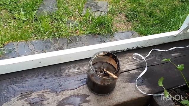 Как я развожу фитоспорин, как храню. Как используют для томатов. смотреть онлайн