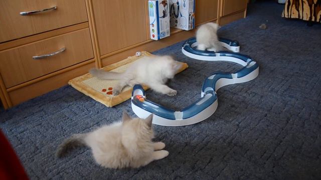 игры. 20.04.2012 смотреть онлайн