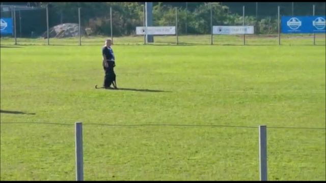 Hector Cape Secure IDC 2022 Italia - Obedience смотреть онлайн