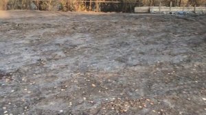 ЛЮТЫЙ ОКРАС кабины трактора Т25, СТЕКЛА, ДВЕРИ