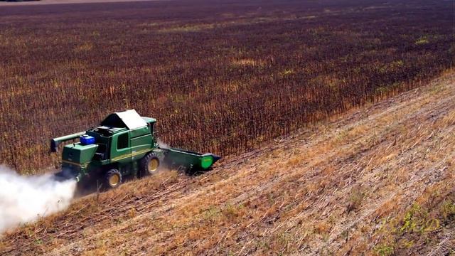 Уборка подсолнечника смотреть онлайн
