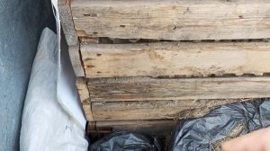 Как устроен дом для червей. Червячник в саду