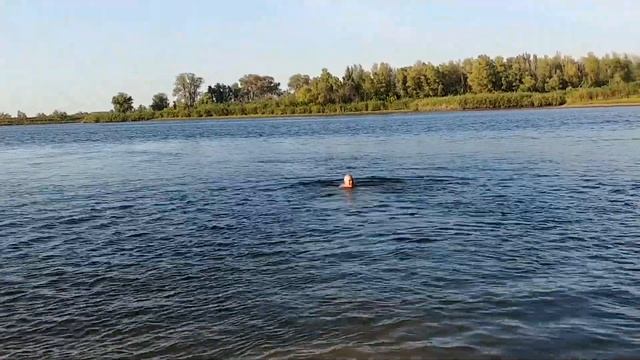 Рыбалка на нижней волге в сентябре 2022 смотреть онлайн