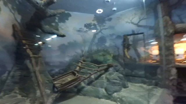 До ВДНХ на общественном транспорте. Экзотариум в ТРЦ 