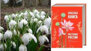 Охрана растений