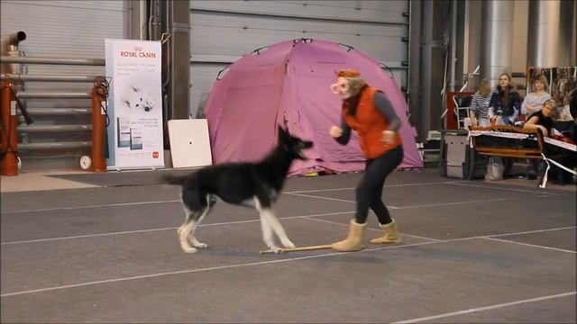 14 01 2017 Харахурсах Елена и Тим смотреть онлайн