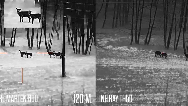 Night Pearl MARTEN 650 vs. INFIRAY TH50 #longdistance #elovectestuje смотреть онлайн
