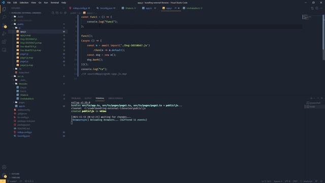 Rollup and Tree Shaking - Create Frontend Build System #6 смотреть онлайн