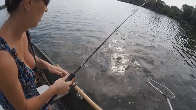 Жерех - 5 кг  ASP - 5 kg. Трофейный жерех на спиннинг